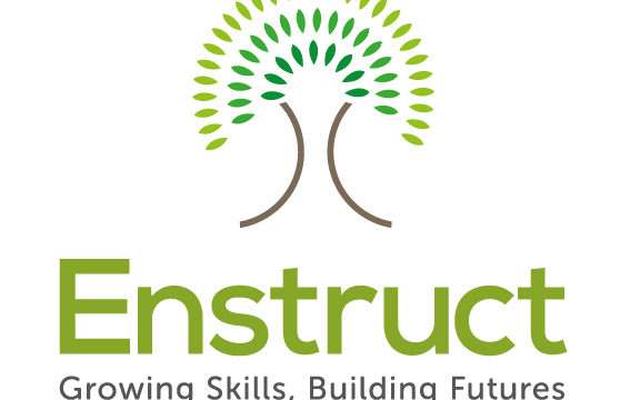 Enstruct Logo