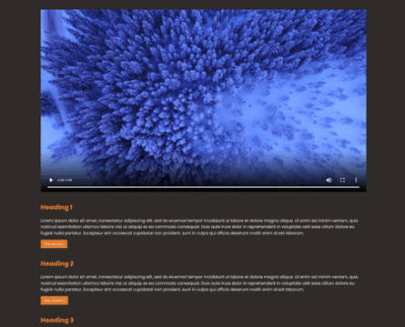 An page displaying a test of the video feature