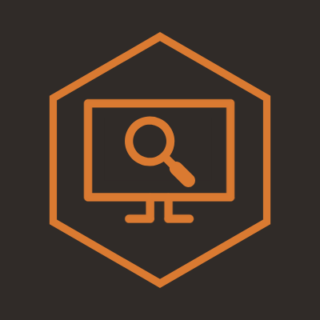 audit training icon