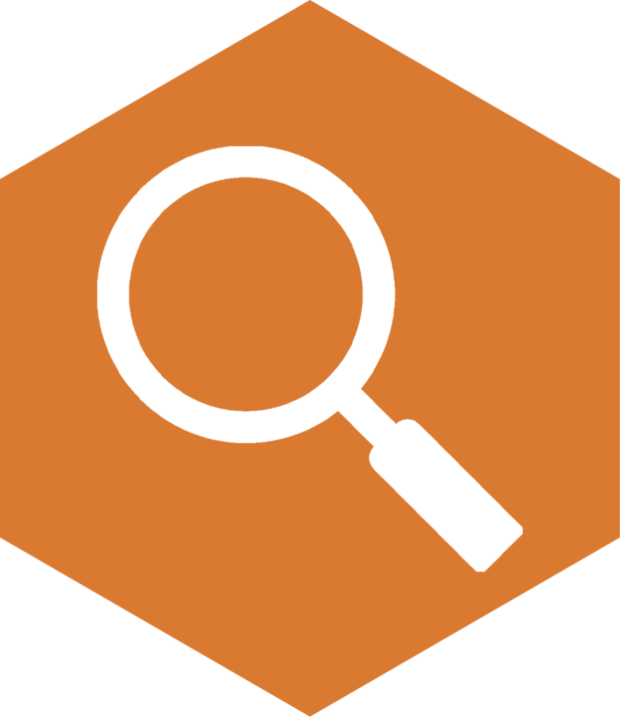 a magnifying glass in an orange hexagon