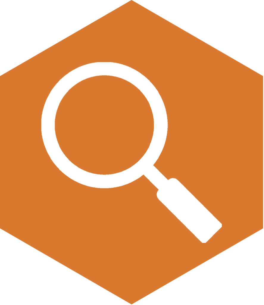 magnifying glass icon