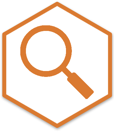 magnifying glass icon