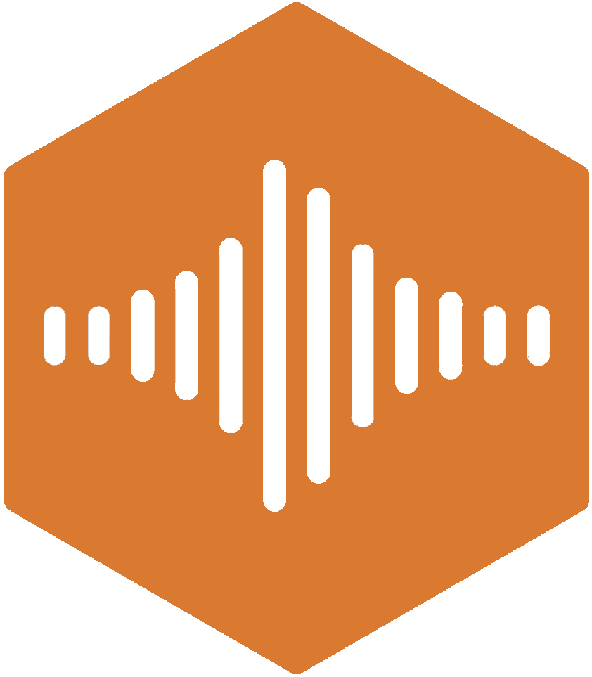 audio icon