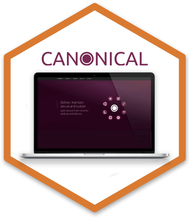 canonical home page and logo