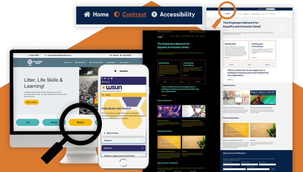 examples of HeX's accessibility features, such as high contrast mode on the enei website and easy-read options on Homefield College's site